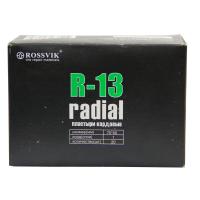 R-13