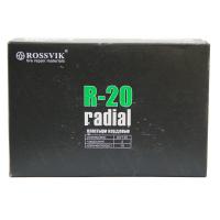 R-20