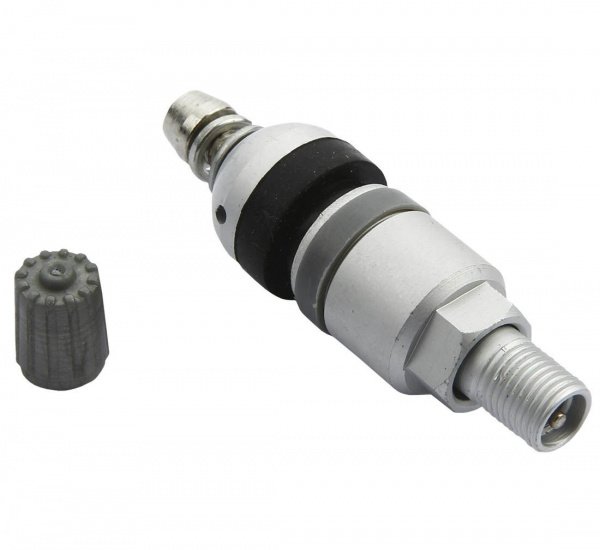 pol_pl_Zawor-Wentyl-do-czujnika-cisnienia-BERU-TPMS-02-4-sztuki-3786_2[1]