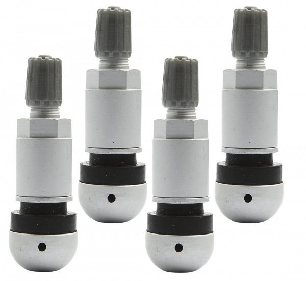 pol_pl_Zawor-Wentyl-do-czujnika-cisnienia-BERU-TPMS-01-4-sztuki-3785_6[1]