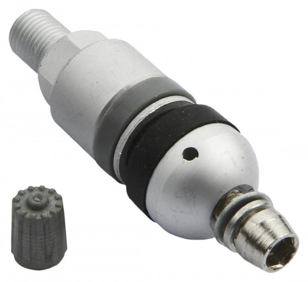pol_pl_Zawor-Wentyl-do-czujnika-cisnienia-BERU-TPMS-02-4-sztuki-3786_1[1]